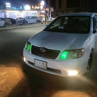 كورلا بيكاتشو • ٢٠٠٧ • صلاح الدين