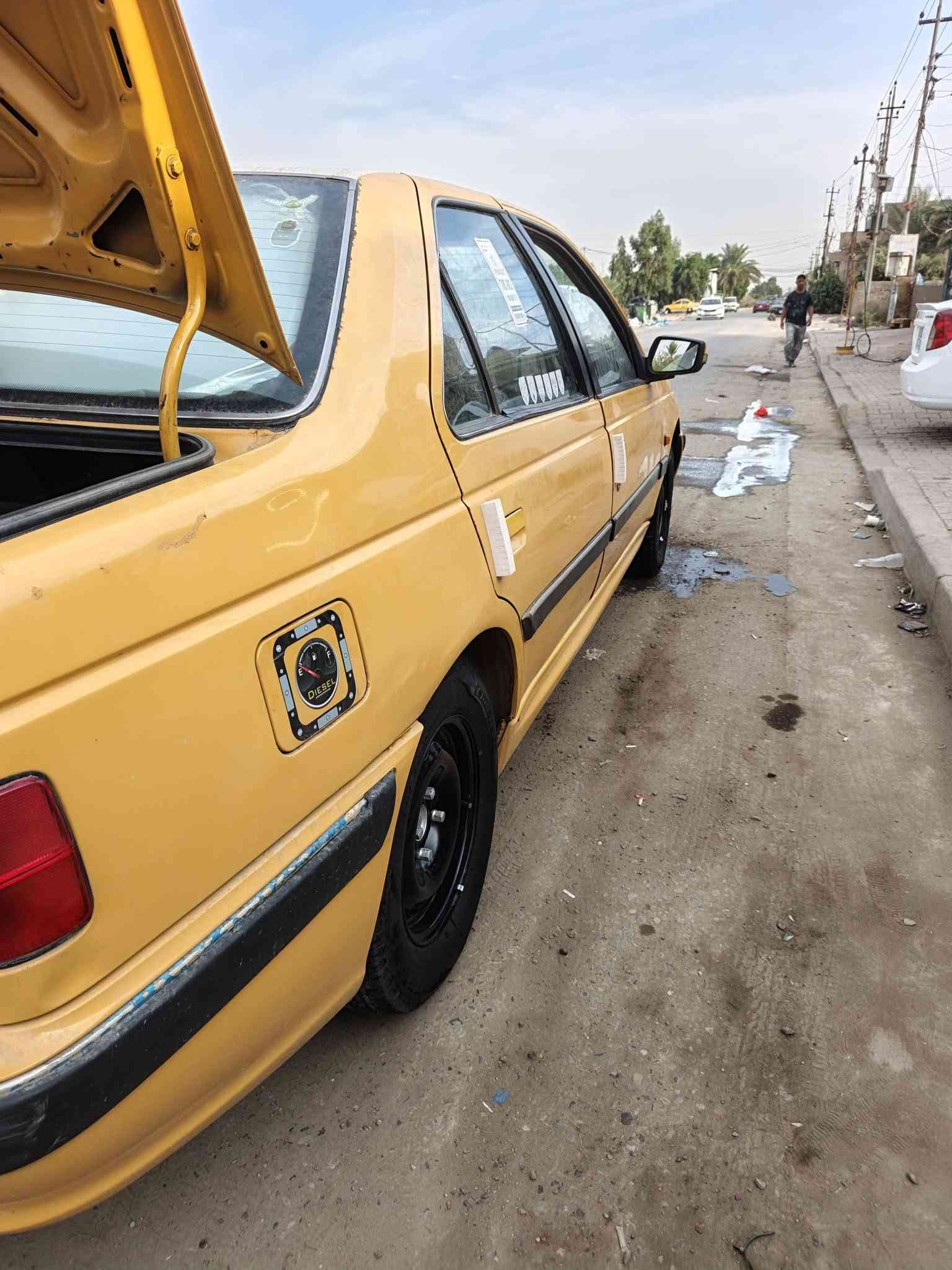 بيجو بارس • ٢٠١١ • بلا صبغ