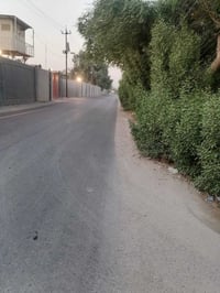 صدر القناة • سند ٢٥ • ١٥٠م