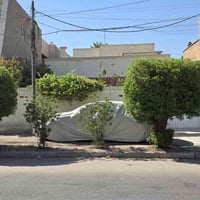 البياع الاولى • ٣١٢م • شارع ١٦ تجاري