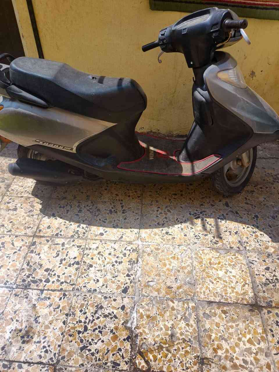 سبيسي • ياباني • سلف