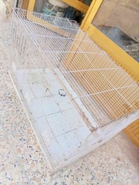 قفص كبير • وجه ٧٥ • ناصرية