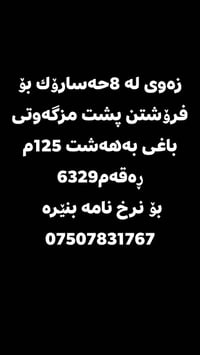 پشت مزگه وتی • باغ • ١٢٥م