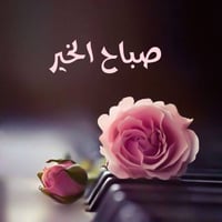 سبع قصور • شارع المشروع 20 • تشطيب خفيف