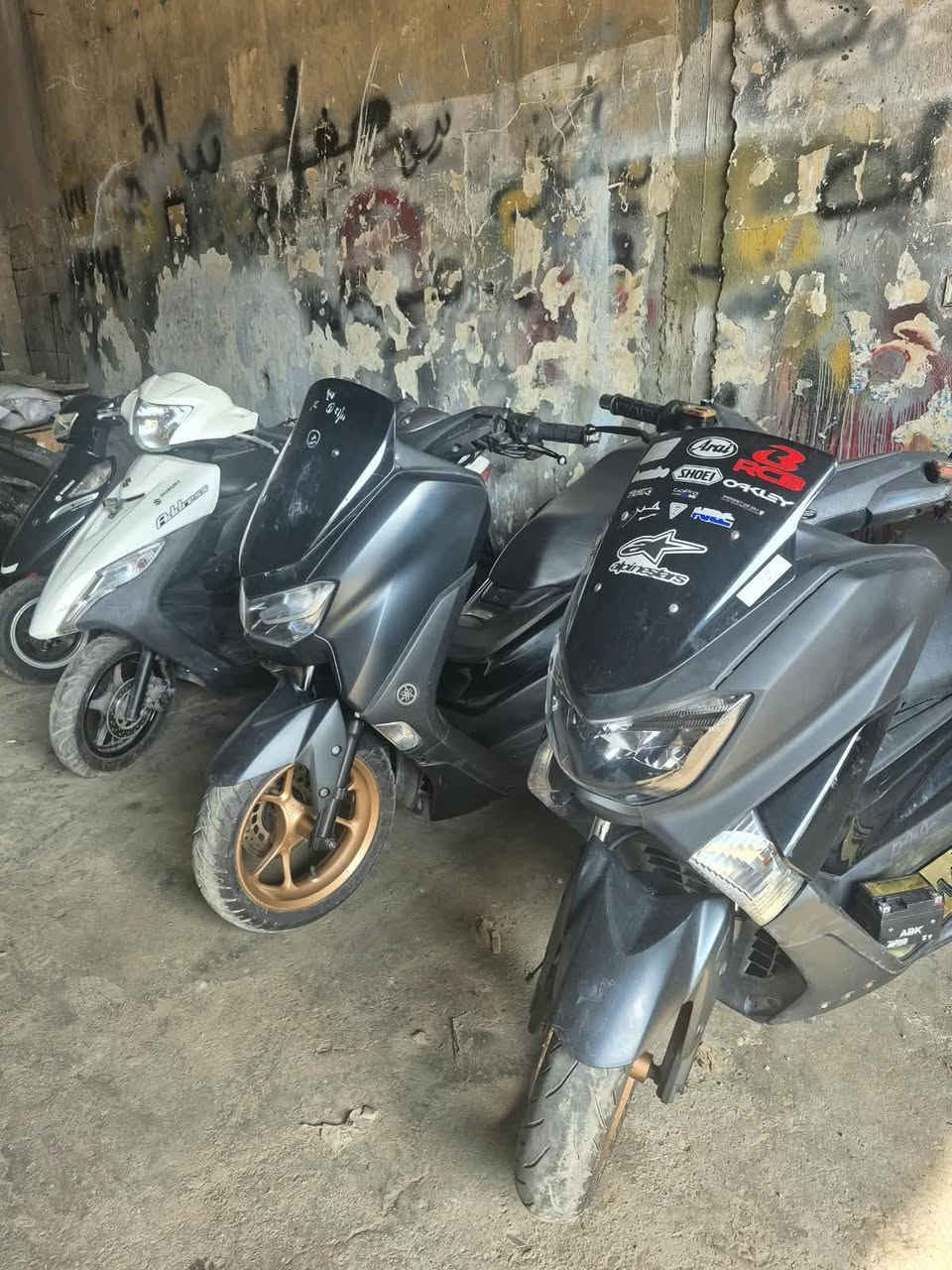 PCX • كوري • كفالة