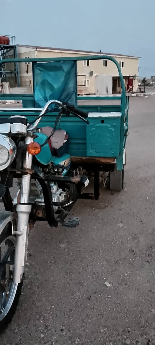 ستوته • صقر • ٢٠٢٣