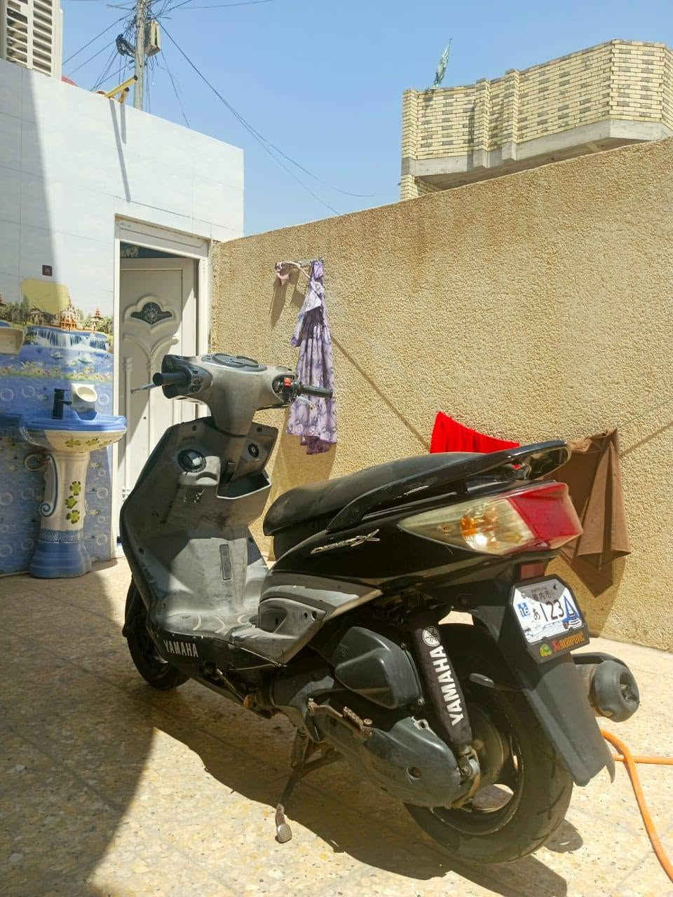 سكنس ياباني فحل للبيع***********مكاني كربلاء شهداء سيف سعد
