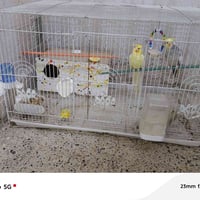 قفص • ٧٦سم • للبيع