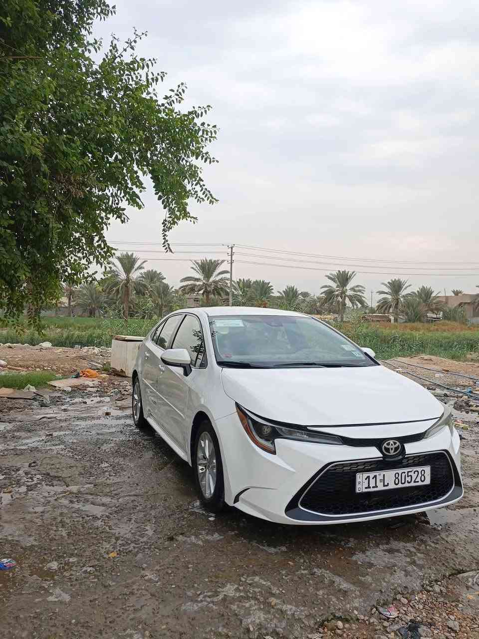 كورلا • ٢٠٢٠ • رقم بغداد