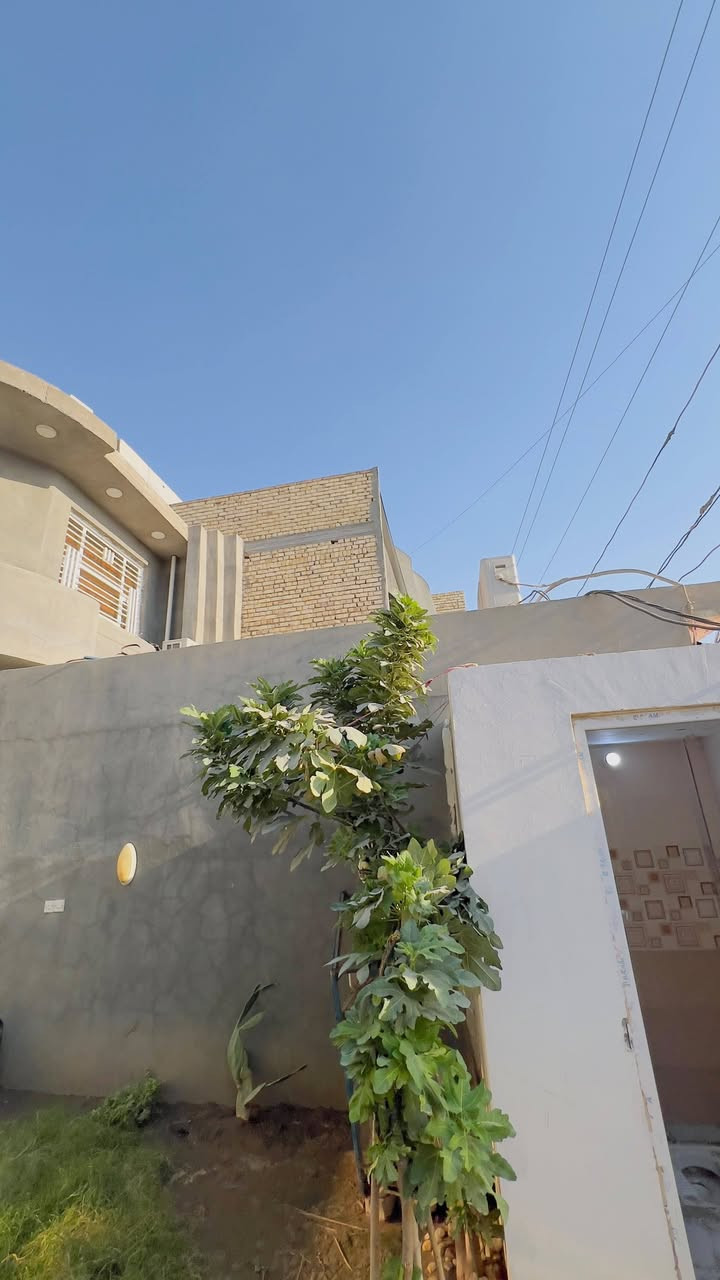 🏠 بيت للبيع في واسط – العزيزية

📐 المساحة: 200 متر
🏪 يحتوي على محل تجاري
🛋️ استقبال كبير + صالة
🛏️ 3 غرف نوم:
• غرفة في الطابق الأرضي
• غرفتان في الطابق الأول

🚿 3 مجاميع صحية
🍳 مطبخ بمساحة 4×5 متر
🏢 البيت طابقين

📍 الموقع: واسط – العزيزية – البستان – شارع أبو كمال

✅ الخدمات متوفرة: مجاري
📄 مسجل بالبلدية
📜 طابو زراعي – قانون 25

📞 للاستفسار ***********
ومعرفة السعر راسلنا على التلكرام
https://t.me/al99iy
