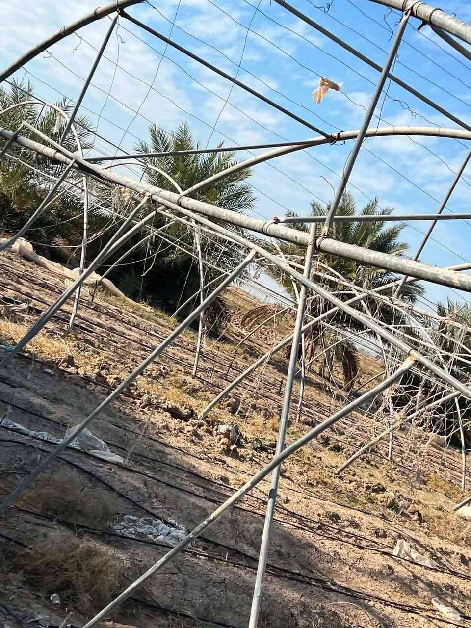 السلام عليكم بيوت زجاجيه البيع الاردني 24 قوس طول 58متر ونص بس حديد المكان بابل جبله زبيدي الاستفسار اتصال ‏‪***********
