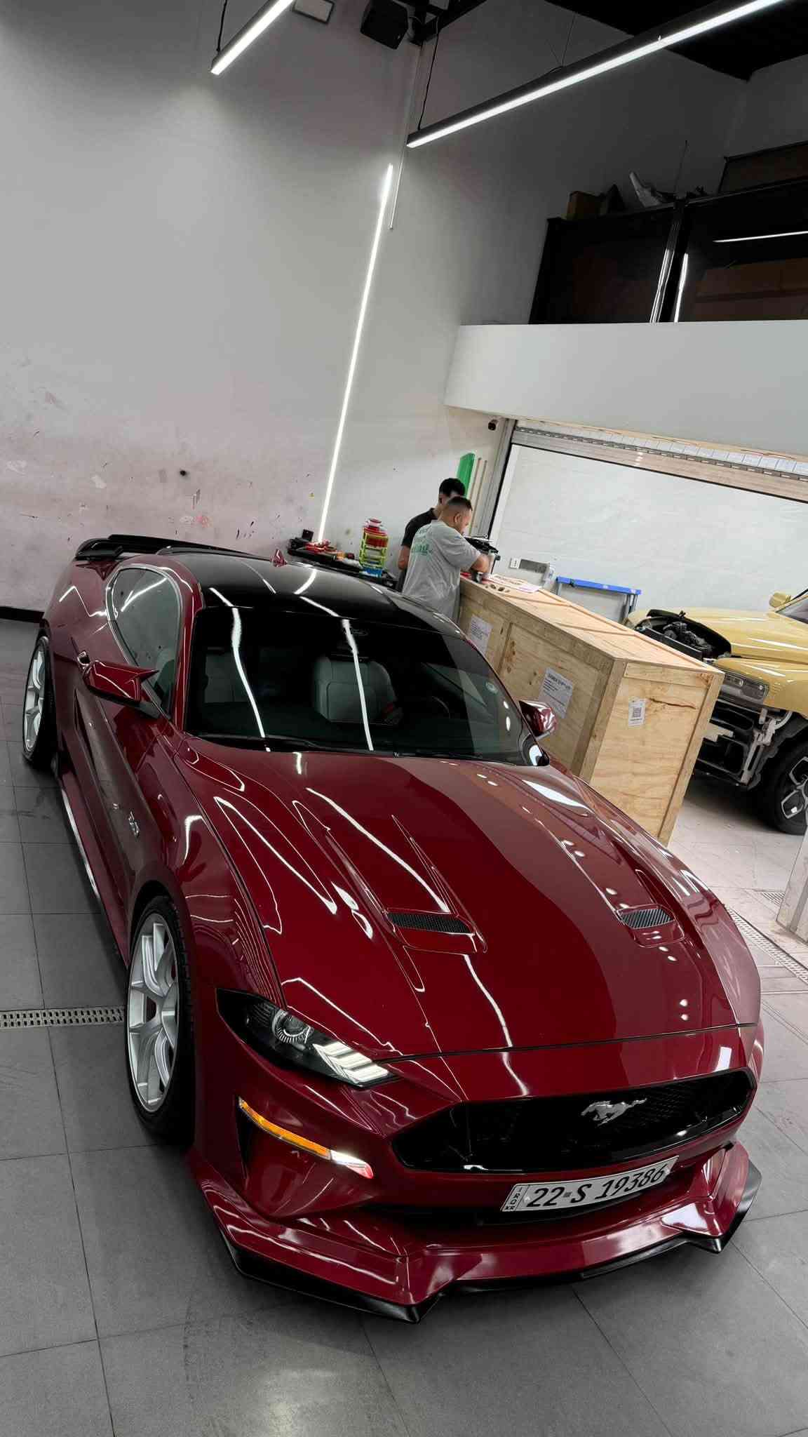 موستنك GT • ٢٠٢٣ • رقم اربيل