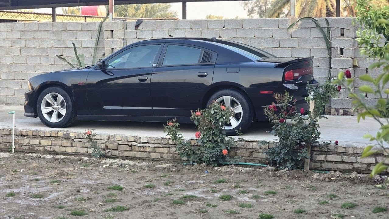 جارجر • ٢٠١٤ • رقم بغداد