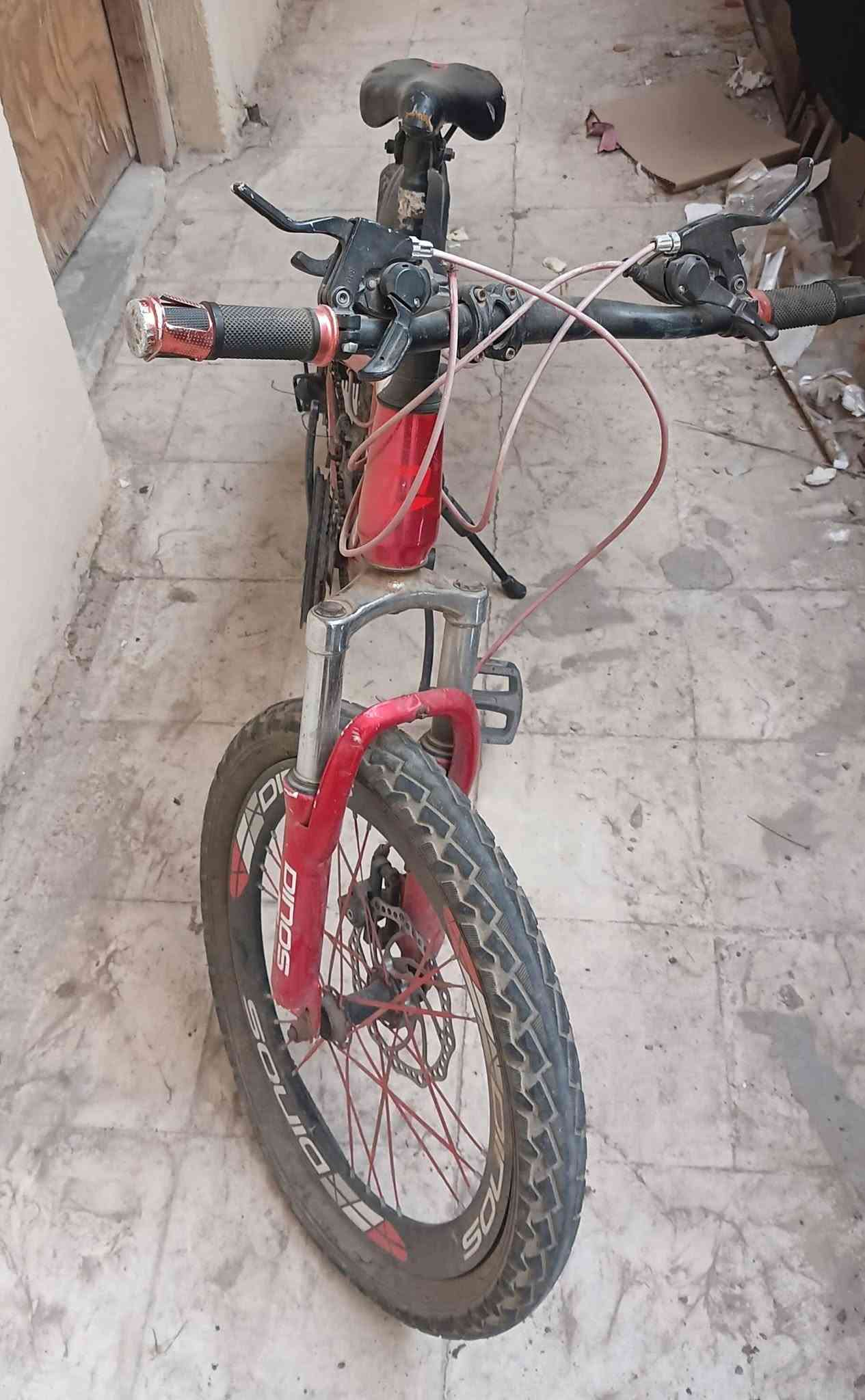 جينكو صغير • سكوتر • باسيسكل