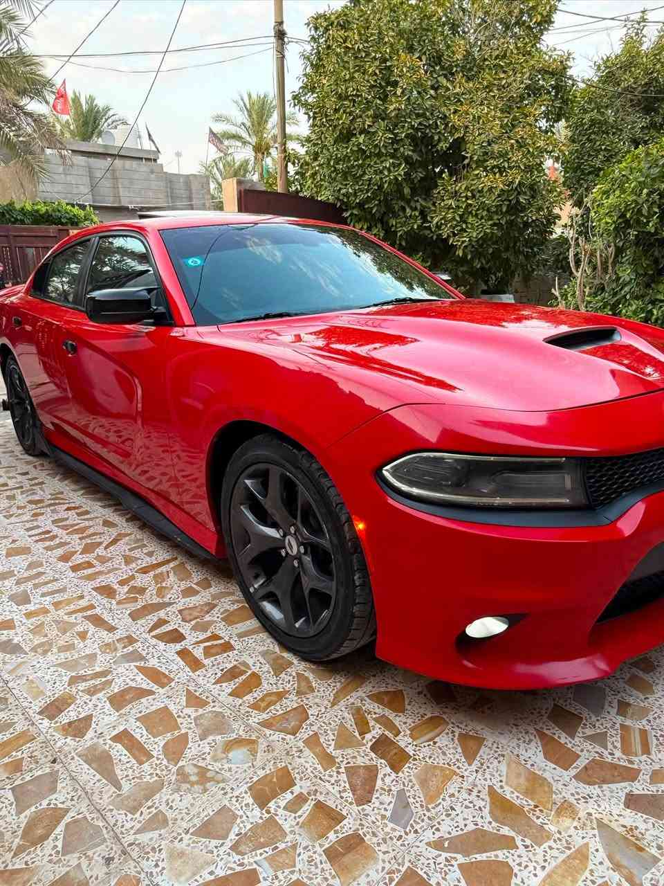 جارجر GT 2019 خليجي مكفولة 
رقم بغداد 
مكفولة 
للاستفسار اكثر الاتصال على الرقم 
مكاني ديالى
***********
