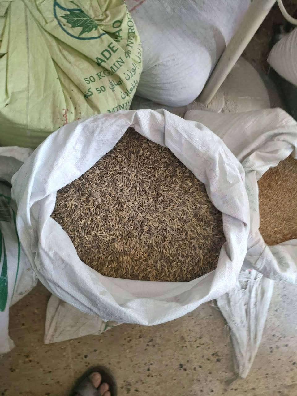 من الله التوفيق
يوجد لدينا طحين خباز شرط
يوجد لدينا علف دواجن وطيور
حنطة._شعير_دخن_بروتين النبراس وكركوك رقم 1_2_كافة أنواع الخلطات_
نشتري مواد الحصة 
طحين_تمن_عدس_حمص صحاح_حمص مجروش_سكر_زيت _معجون.خبز اليابس
الموقع-سومر مجاور المضمد ابو عبدالله
اسيا_***********
كورك_***********
