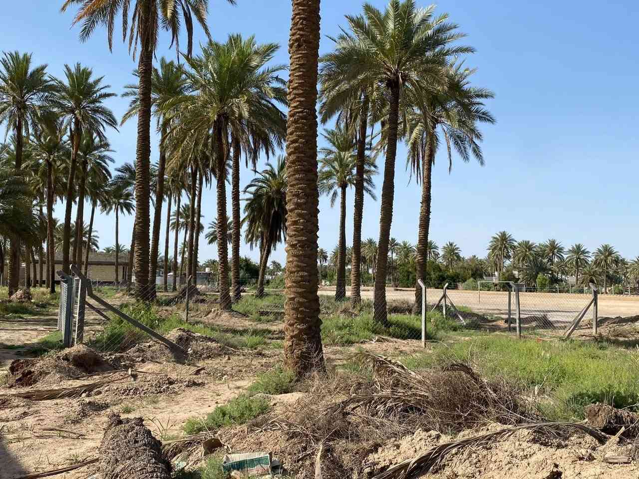 سلام عليكم أرض 1000 متر وموجود 200 متر وموجود 300 متر وموجود 500 طابو زراعي سند 25 تحويل مباشر ماء وكهرباء الاستفسار ***********
