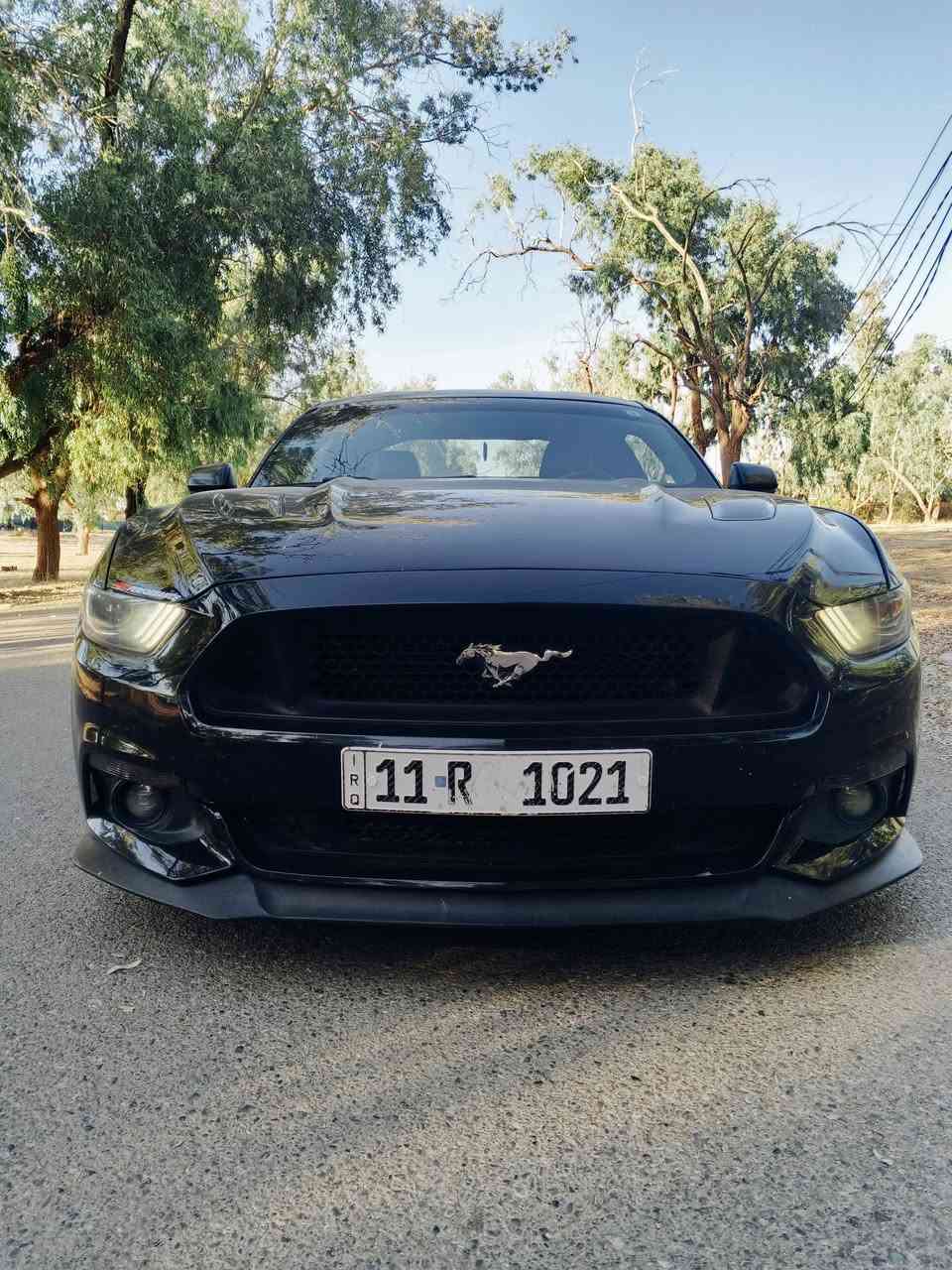للبيع موستنك جي تي 2016
بسعر مناسب
رقم لوحه مميز 11R 1021
ماشيه 67 km حقيقي
كير عادي

كلج مكلاود

شوته روش

دبه مي رياضي

راديتر مشيموتو دبل مراوح

بلكات رياضي

ثلاجه 2022

غرفه 2022

فجوج بريمبو

لويات امامي ايباخ رياضي

هيدرز امريكان ريسنك

دبل اكس بايب

اكزوز فورتك

اكزوز ريمونت

تبات كورسا

ستيرن كاربون فايبر

دشبول تغطيس كاربون فايبر

عداد تراك بكج بالدشبول

مضخم صوت

عدادات السرعه متغير اللون

الحادث جاملغين والقمارة بي تعديل بارد
*********** واتس اب
