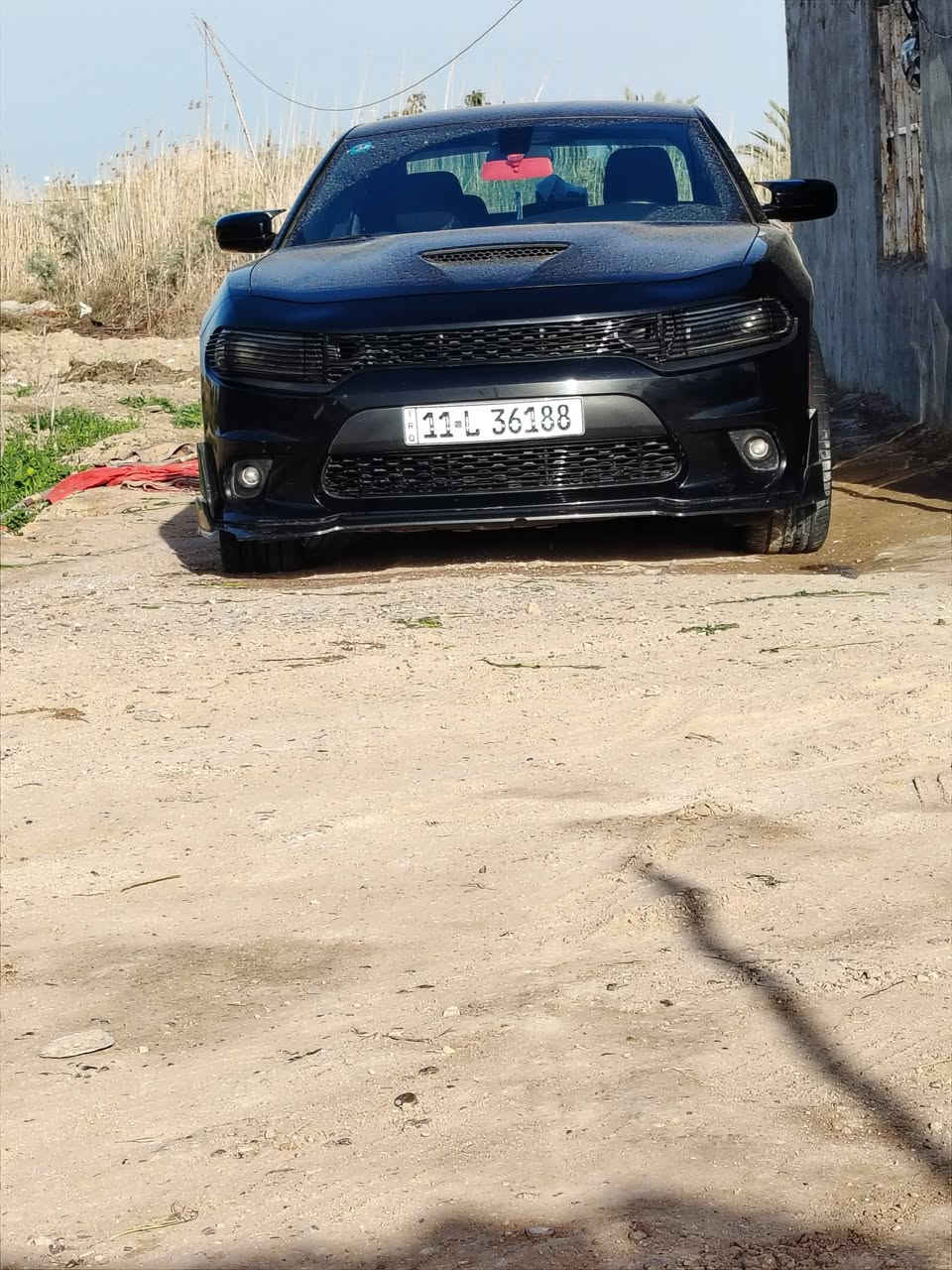 دودج تشارجر • ٢٠٢٢ • بدون صبغ