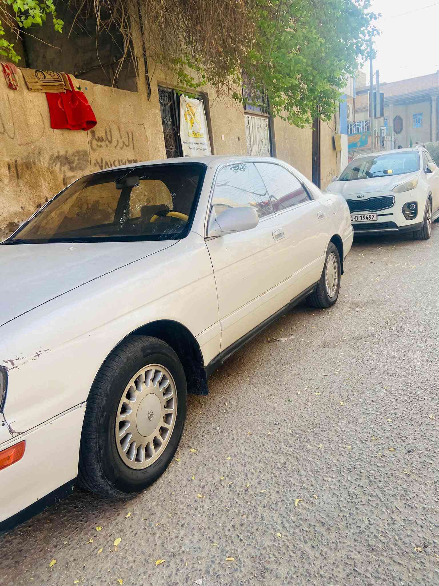 بطه متصل • ١٩٩٤ • البصرة