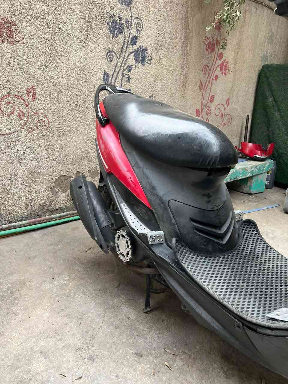 ماكس عدلة • بلادية • نشطه