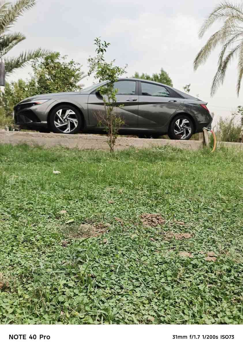 النترا • ٢٠٢٥ • بدون حادث