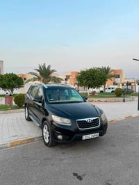 سنتافي • ٢٠١١ • رقم اربيل