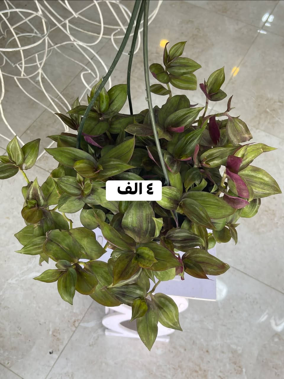 ...الانبار الرمادي العزيزية مكان الجديد...من جهة شارع العام خلف مجمع برج المسك شارع ميسلون  اول فرع على اليمين *********** ... يوجد توصيل داخل الرمادي...
