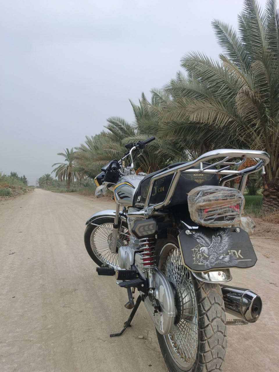 تايكر سونك • ٢٠٢٥ • اوراق كامله」「محرك مكفول