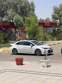 كورلا فول • ٢٠٢٠ • ناصرية