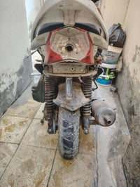 ٣٠٠ • سكنس جبلي • مجال