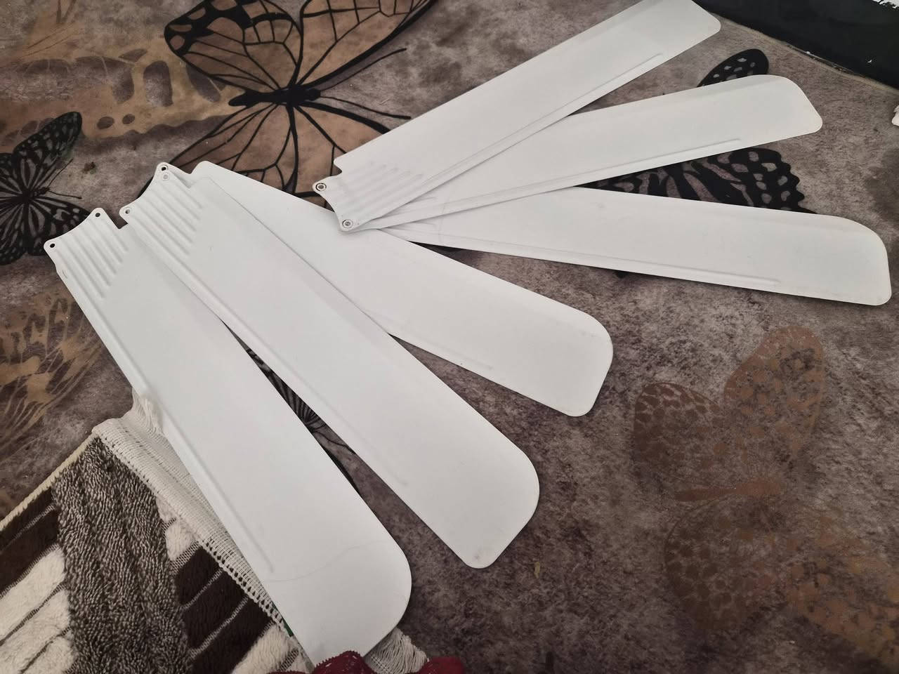 مروحات سقفيه ب٢٠ الوحده..
الباسكل حجم عشرين ب٥٠ الف.  
مثرامه ماركت نوال ب٤٥ الف ..

قلايه هيترين جديده استعمال قليل فول مواصفات 

تشوي وتشتغل مايكرويف الحجم ٨ لتر ب٨٠ الف..

وبردات سحب مترين الوحده ب١٥ الف ..

وحماله وجنطه مال طفل ب٣٥ جديده مامستخدمه ب٣٥ الف..

وعلم عراقي ب٣٠ الف..

المكان البياع الشرطه الخامسه 

للاستفسار***********
