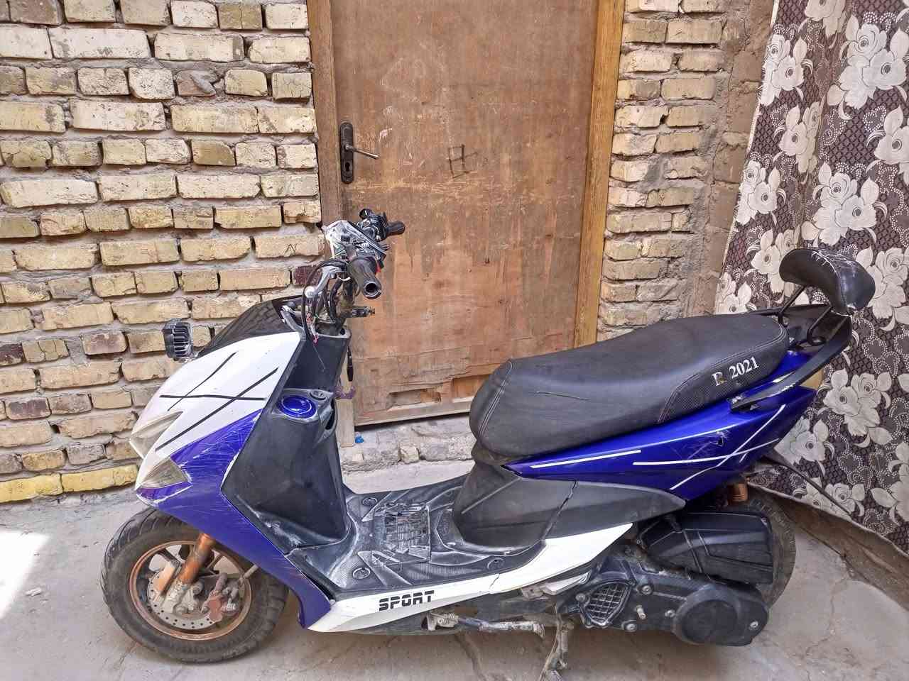 سكنس • شغاله • سلف