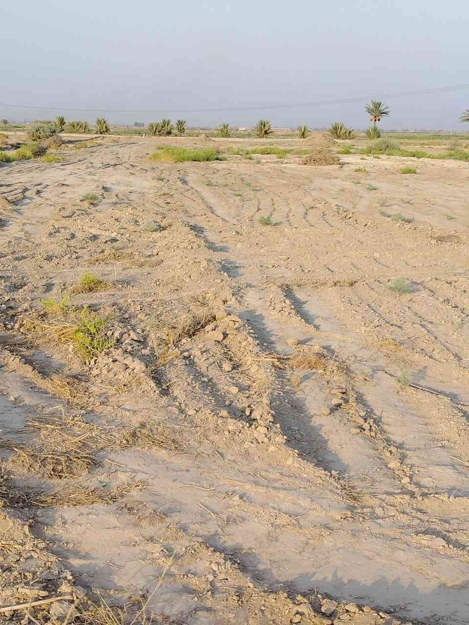 للبيع قطعة أرض مساحة دونمين طابو زراعي قريبه عله الشارع العام ماء سقي وماء اساله وكهرباء متوفر مكان قريه العداله تبعد عن طريق الصويره. جبله ٤٠٠ متر وبيها مكان دفن مال بيت الشراي يتصل *********** @
