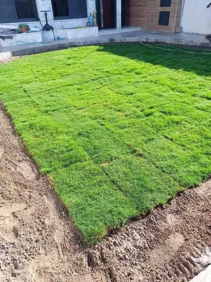 نعمل الحدائق من الصفر.... في الأحياء السكنية.. والمجمعات السكنية
***********
***********
