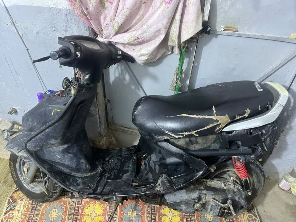 فراشة • نضيفه • ١٧٥