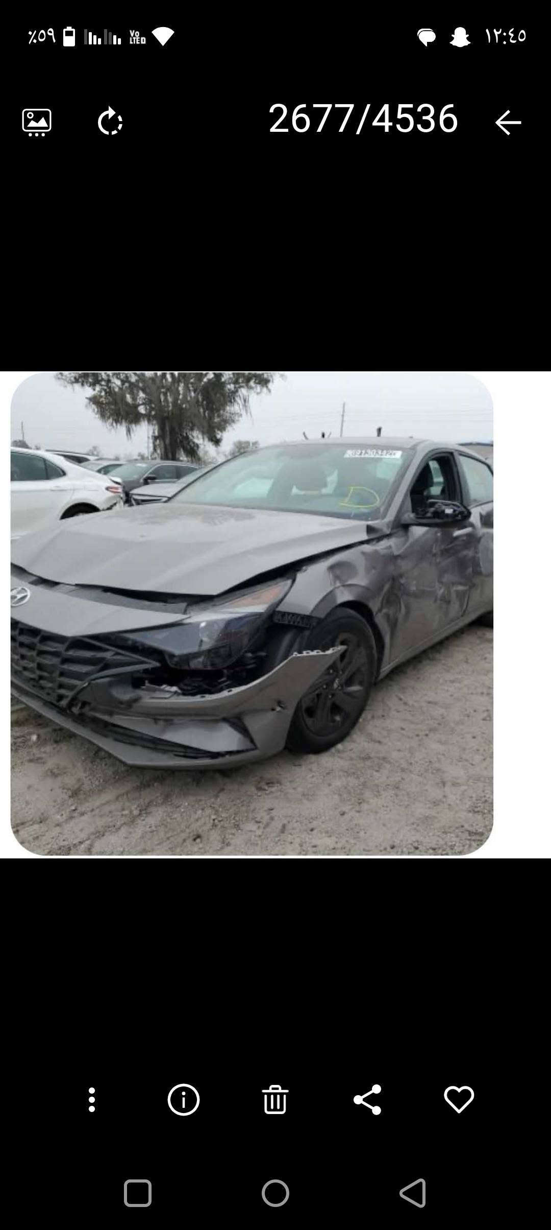 النترا • ٢٠٢١ • وارد امريكي