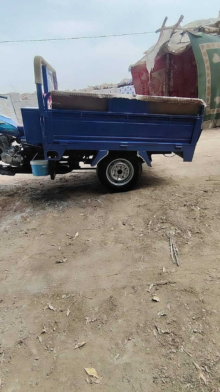 ستوتة • ٢٠٢٣ • مكفولة