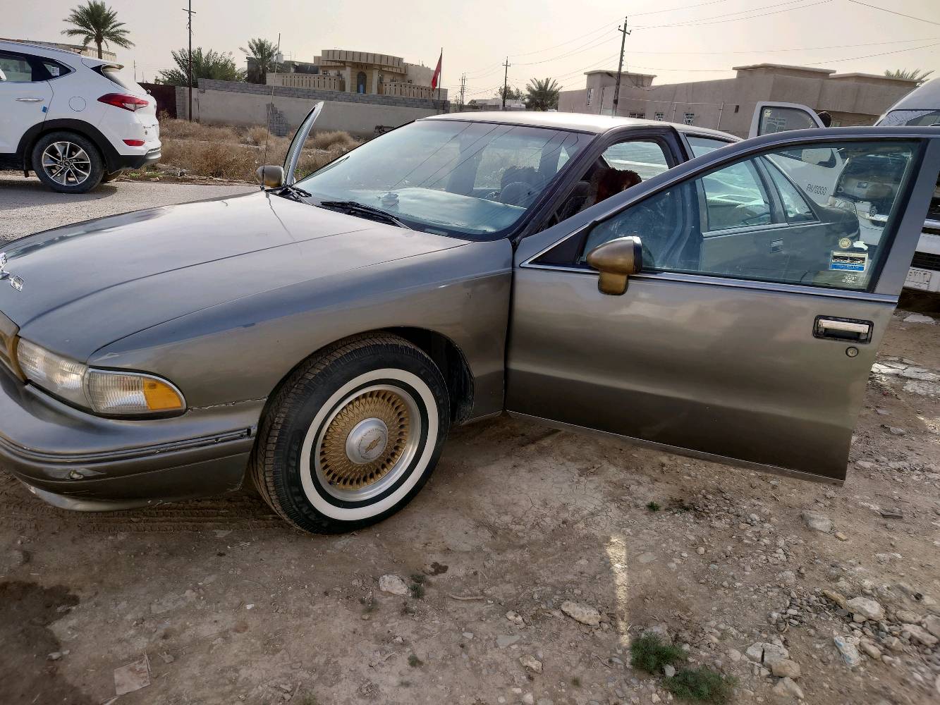 دولفين موديل 1992 بيع او مراوس 

مكينه 350 (5700)
كير 700
  مصبوغه عام 
تبريد شغال

حداديه نص عمر 
تخم تاير جديد جواها
باتري جديد 
ترايك وين ما تريد
تفاصيل ازيد ع لخاص 
مكانها بغداد تقاطع النهروان

رقمي ***********