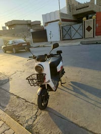 دراجة شحن • كهربائية • للبيع