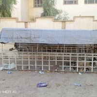 محجر • اقواس دانيا • رفوف