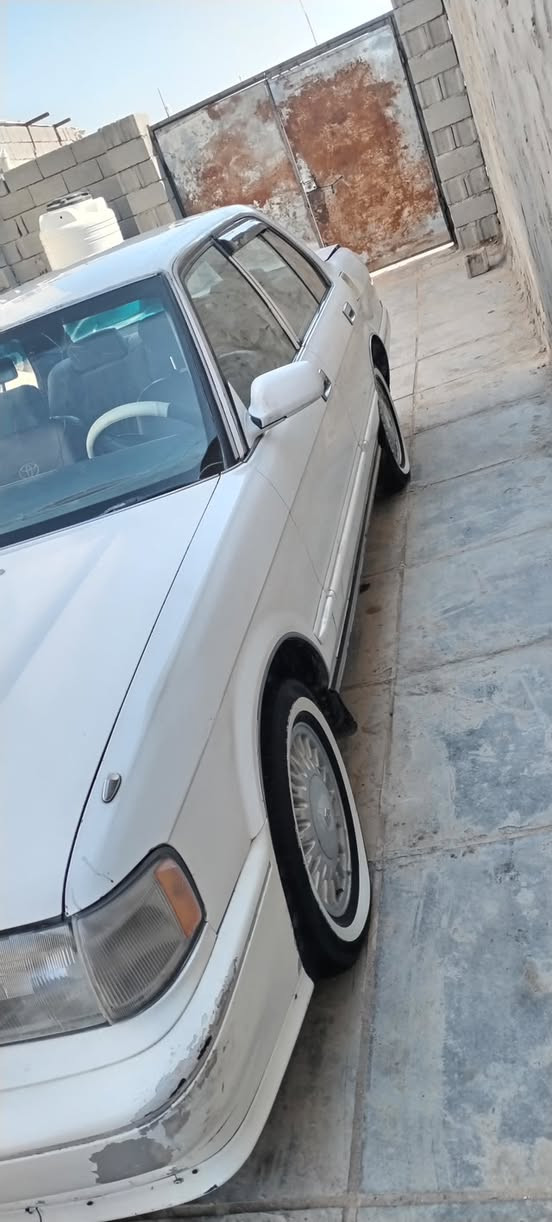 ارنب طويل • ١٩٩٥ • بصره