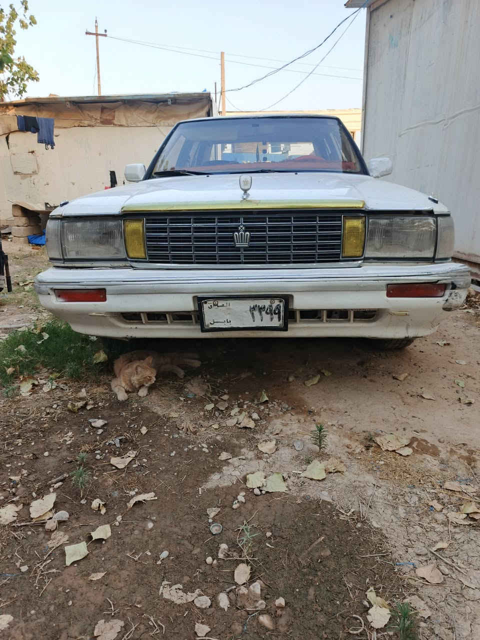 السلام عليكم للبيع سيدان ٩١ رقم قديم مميز گير محرك بطة مكانها صلاح الدين قضاء الشرقاط السعر32 وبي مجال قليل السيارة بيها ملاحضات قليلة لاستفسار وات ساب ***********
