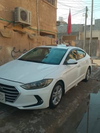 لنتره • ٢٠١٧ • رقم اربيل