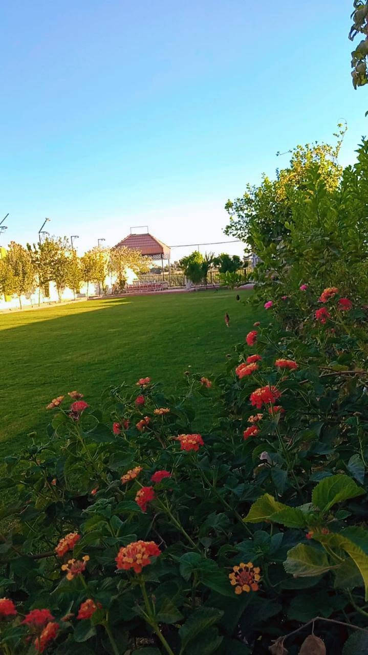 🌴✨ مزرعة ليالي الفرات ✨🌴
🔥 عروض وخصومات تصل إلى 50% 🔥
لا تفوّت الفرصة واحجز الآن 🤩

📞 ***********
📍 النعيمية – بين أبو غريب والفلوجة
