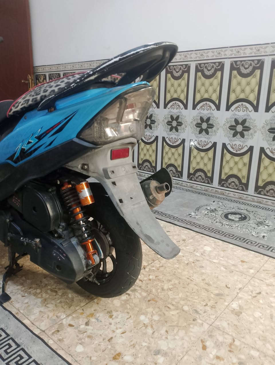 ماكس عدلة • كفالة • NCY