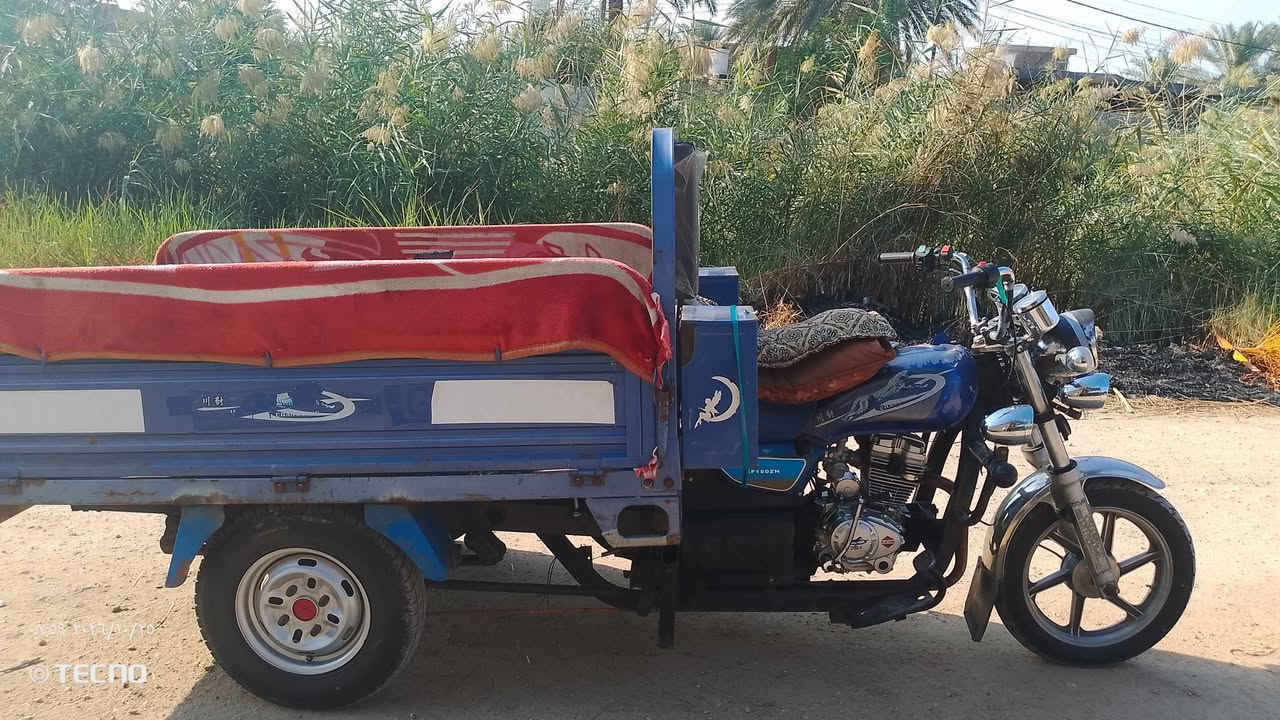 ٢٠٢١ • نضيفه • كربلاء العطيشي