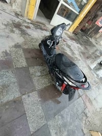 ثعلب • محرك سليم • صوت بالاكسل