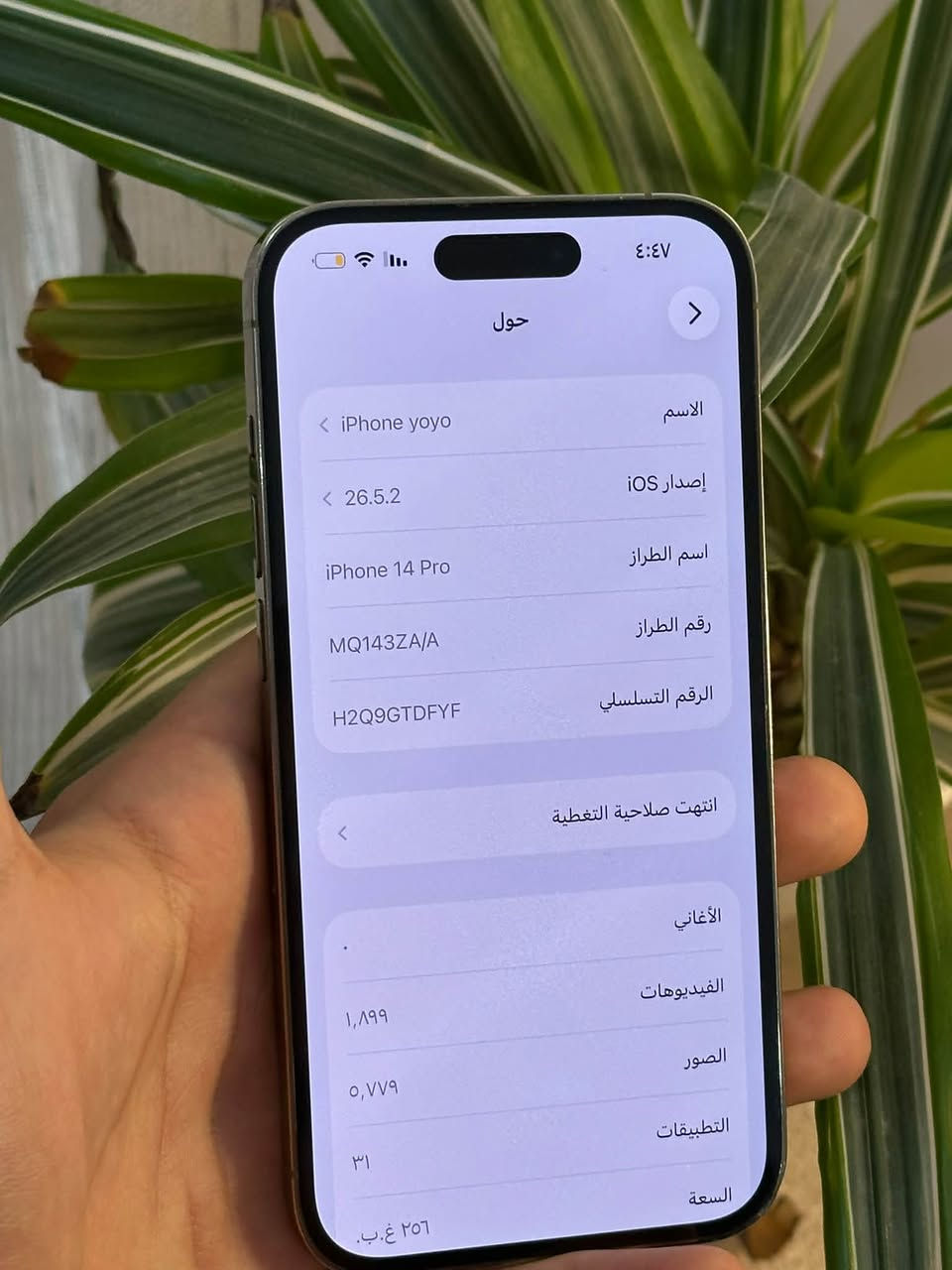ايفون _ iphone 14 pro فقط
للبيع مستعمل ايفون نظيف كلش
- بطارية 81 
-شرق اوسط
-دبل سيمكارت 
-رقم الطراز MQ143ZA/A 
- الذاكرة 256 
-بي كسر بالباك -الظهر موضح بالصور

السعر 650 🔥🔥
بس الشراي يدخل خاص مكاني نجف واتساب ***********
