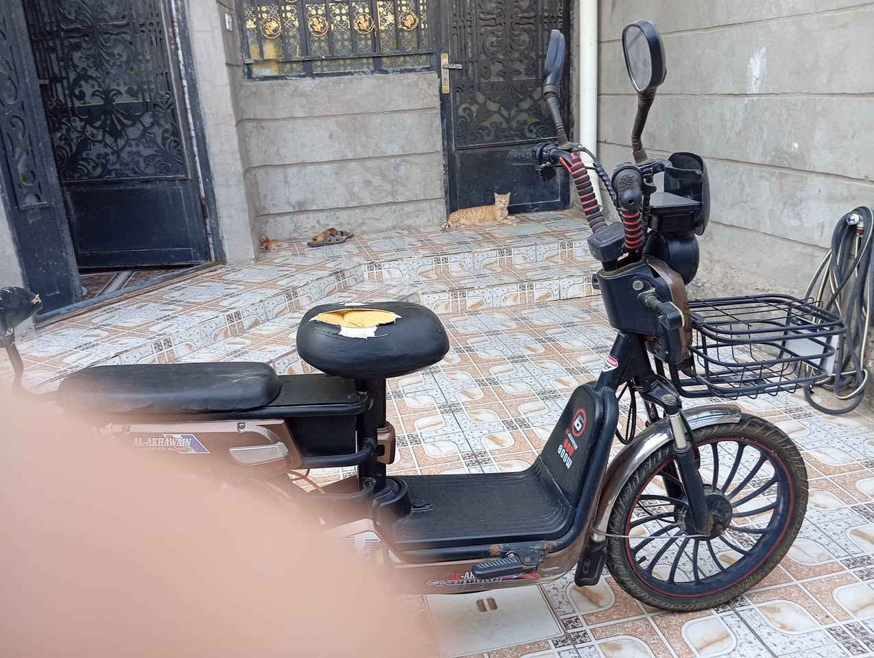 السلام عليكم
بايسكل شحن للبيع 
بلا بطاريات
السعر 170 أو بيه مجال
اي استفسار علي 
*********** أو بيه واتساب
